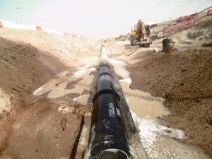 WhatsApp Image 2025-05-07 at 10.39.21 AM